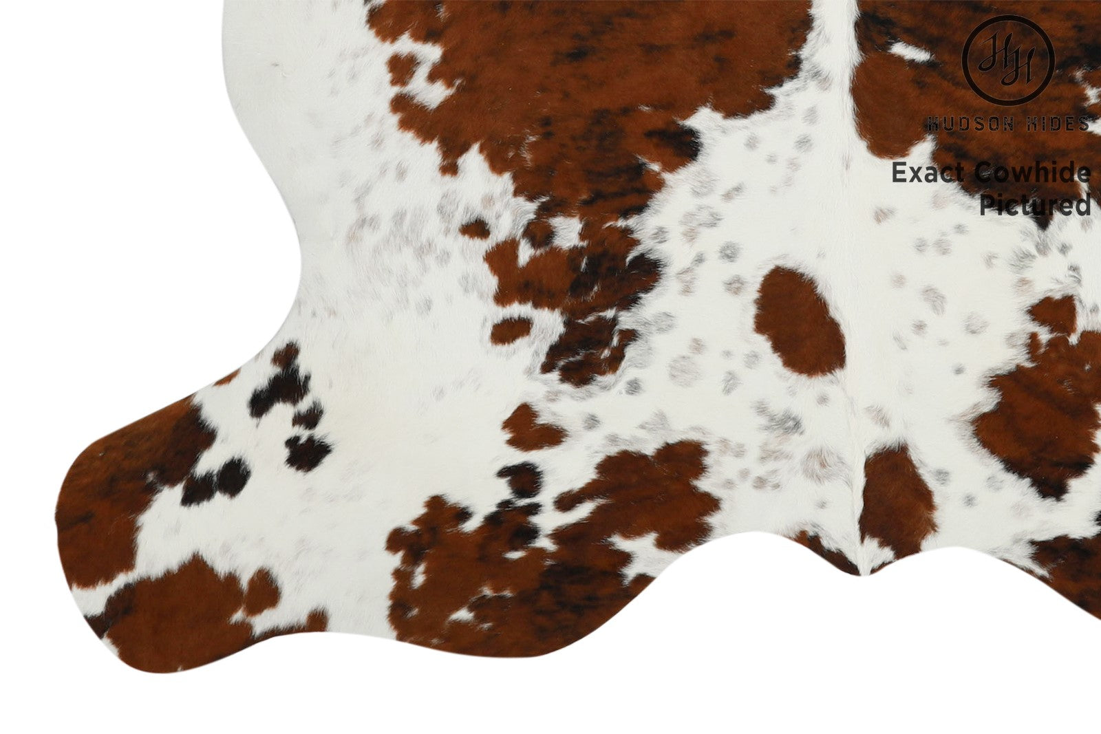 Tricolor Cowhide Rug #11602