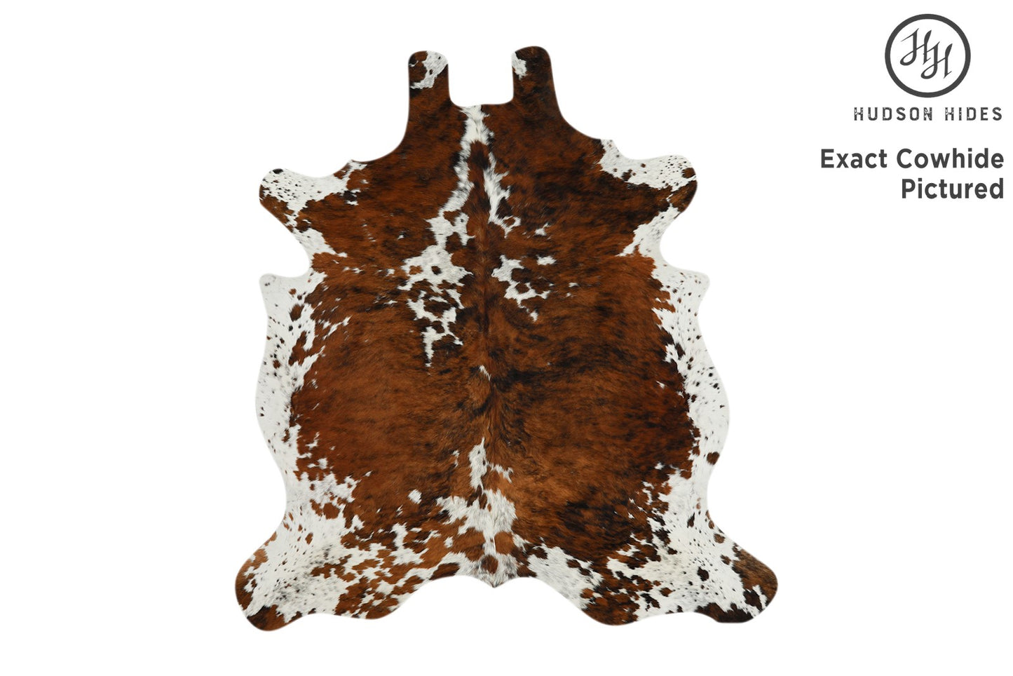 Tricolor Cowhide Rug #11603