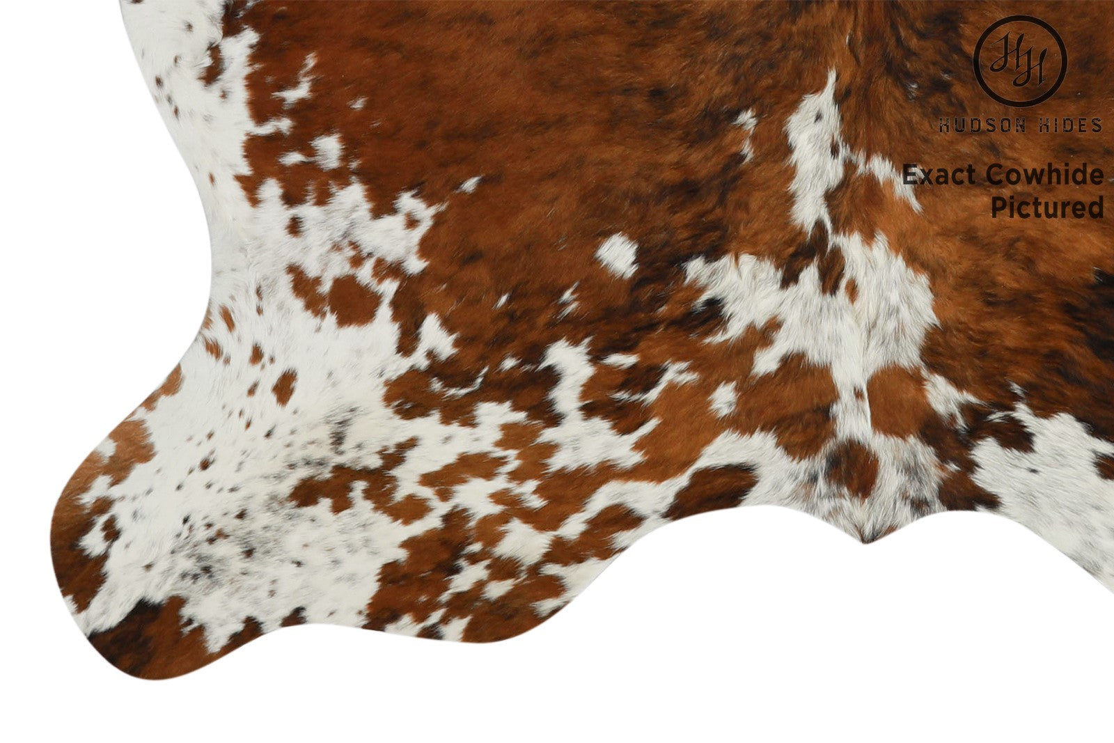 Tricolor Cowhide Rug #11603