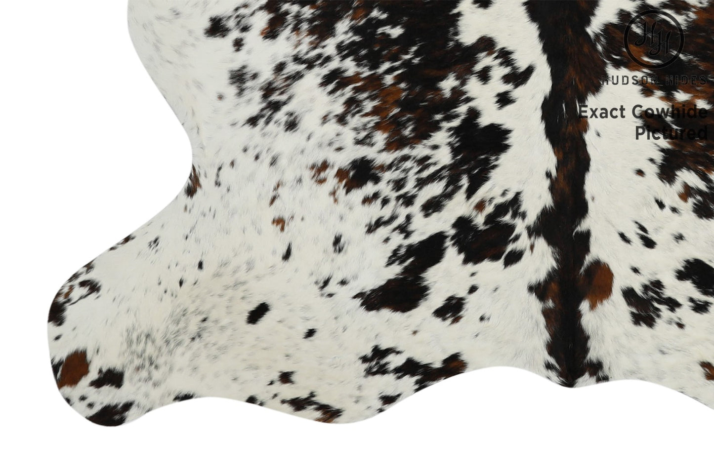 Tricolor Cowhide Rug #11605