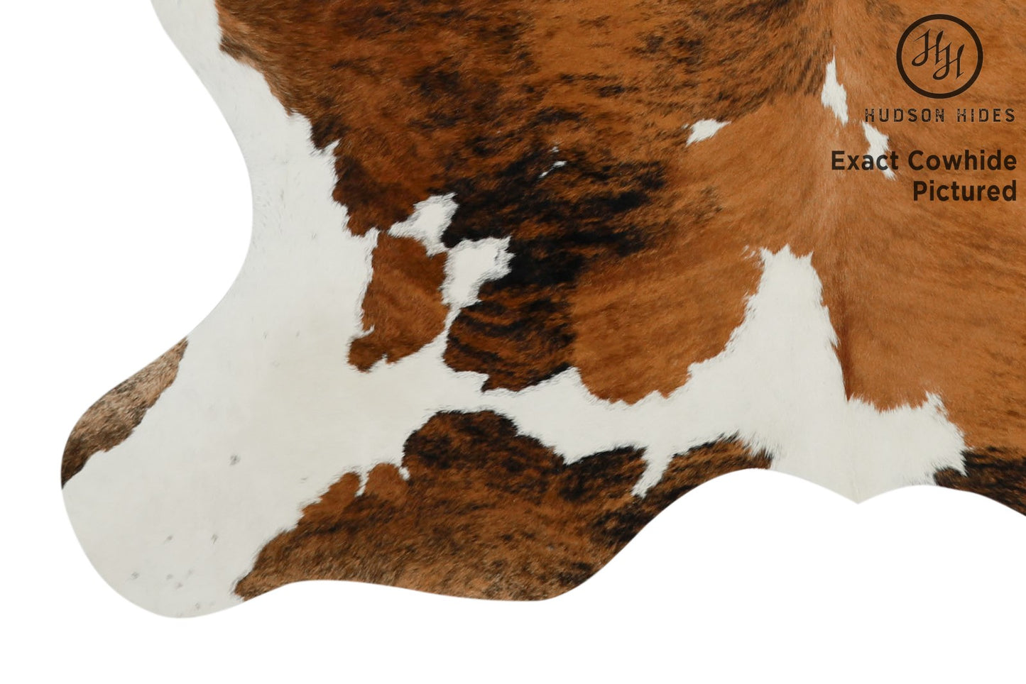 Tricolor Cowhide Rug #11606