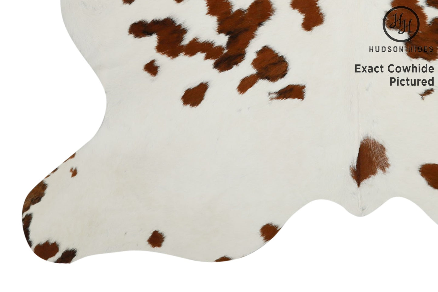 Tricolor Cowhide Rug #11624