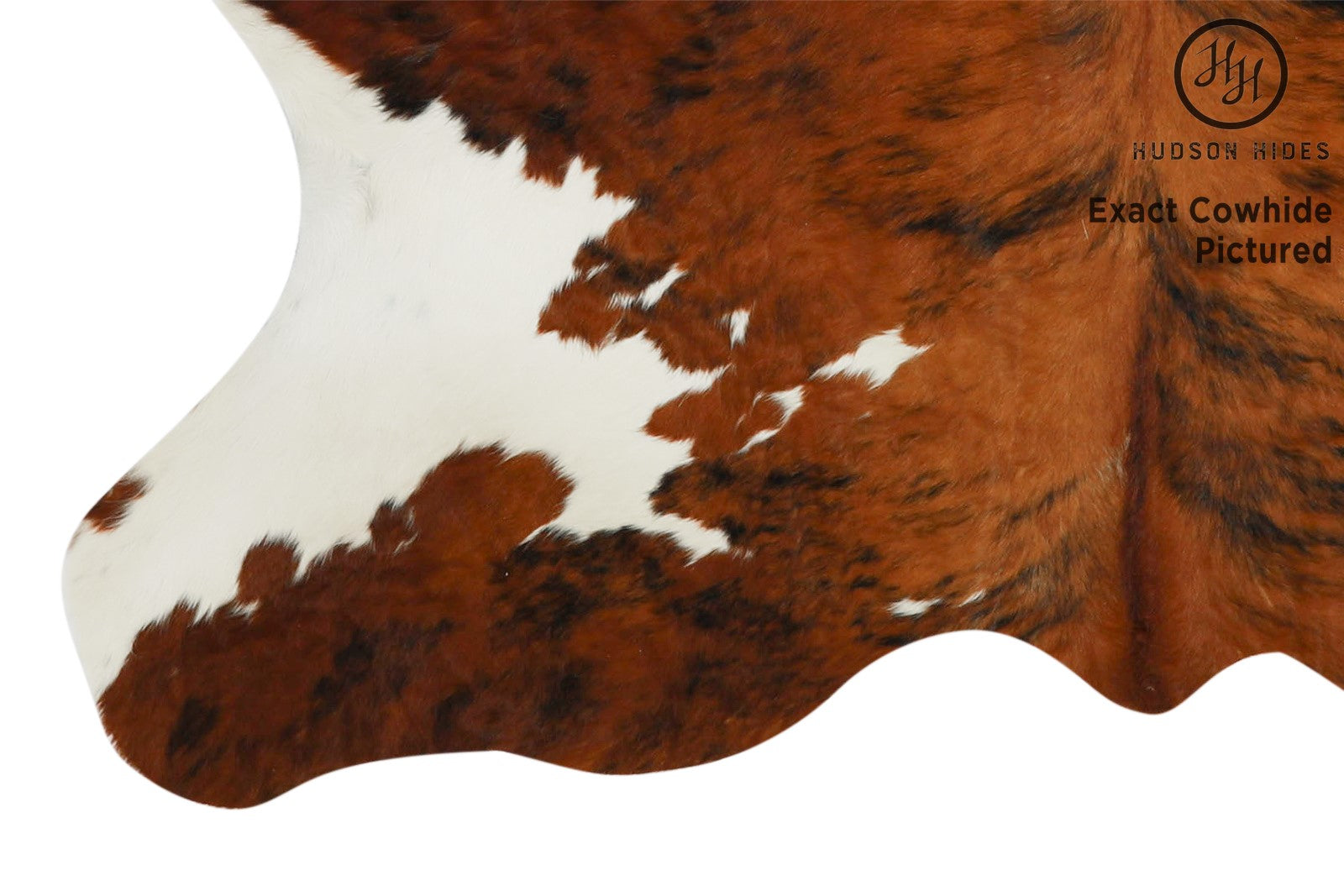 Tricolor Cowhide Rug #11625