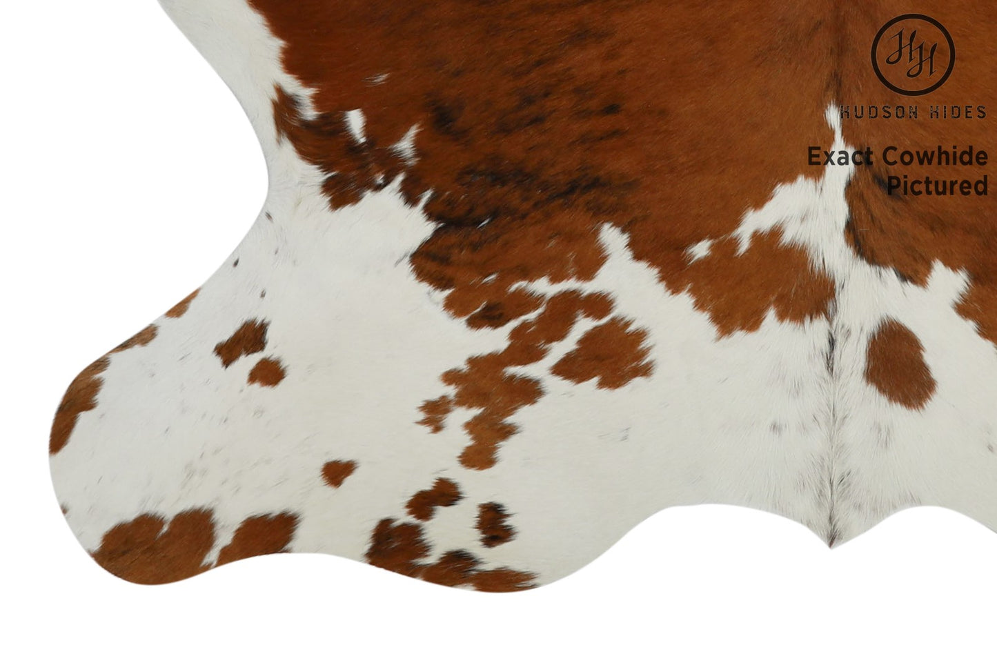 Tricolor Cowhide Rug #11626