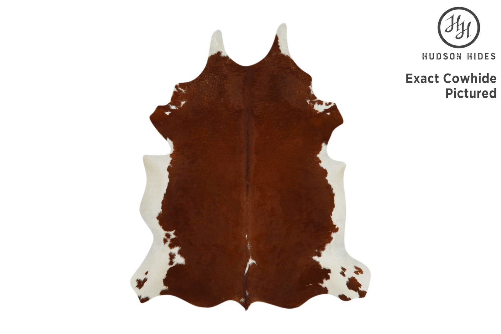 Brown And White Regular Cowhide Rug #11628