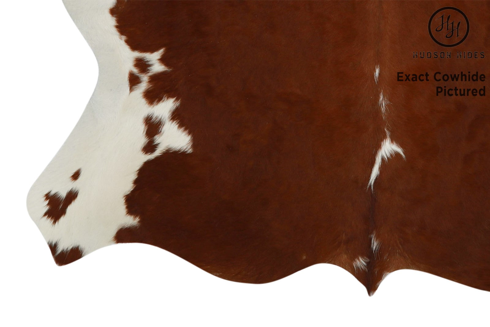 Brown And White Regular Cowhide Rug #11628