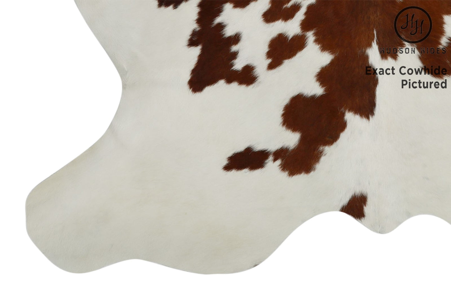 Tricolor Cowhide Rug #11630