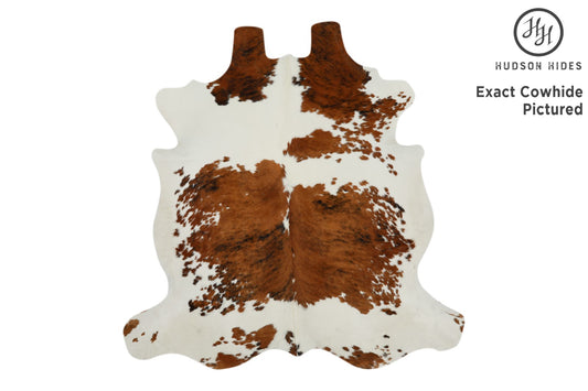 Tricolor Cowhide Rug #11634