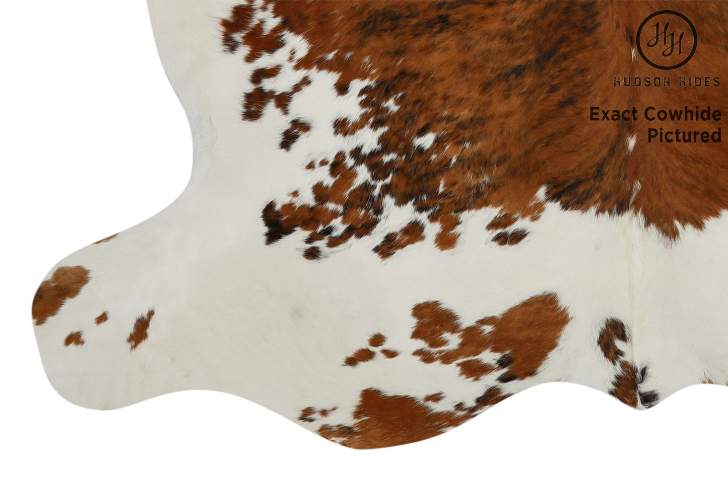 Tricolor Cowhide Rug #11634