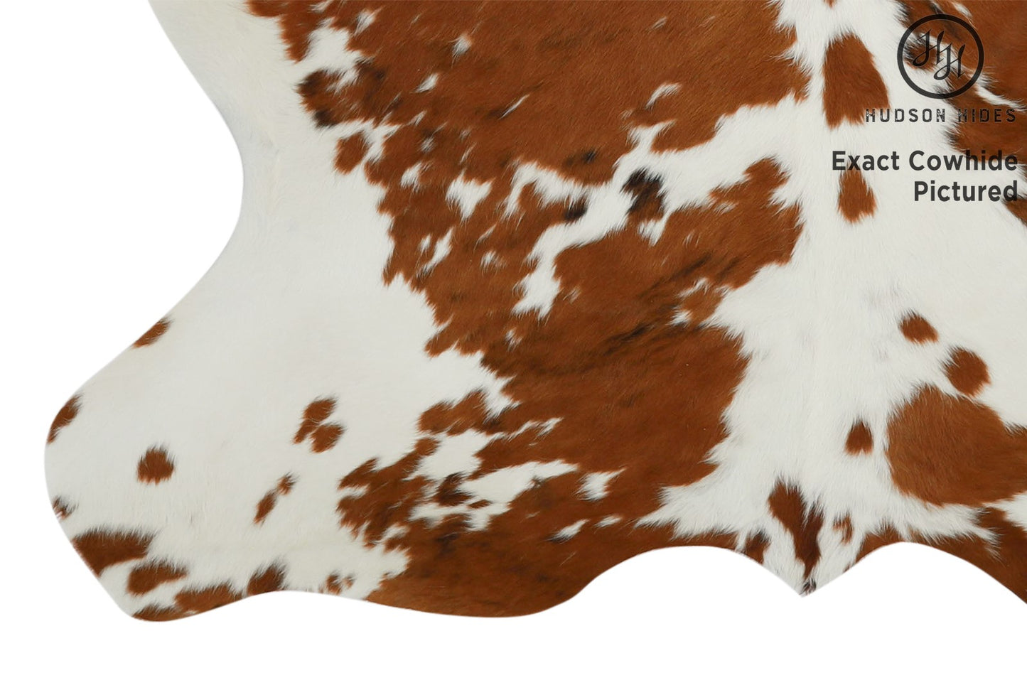 Tricolor Cowhide Rug #11635