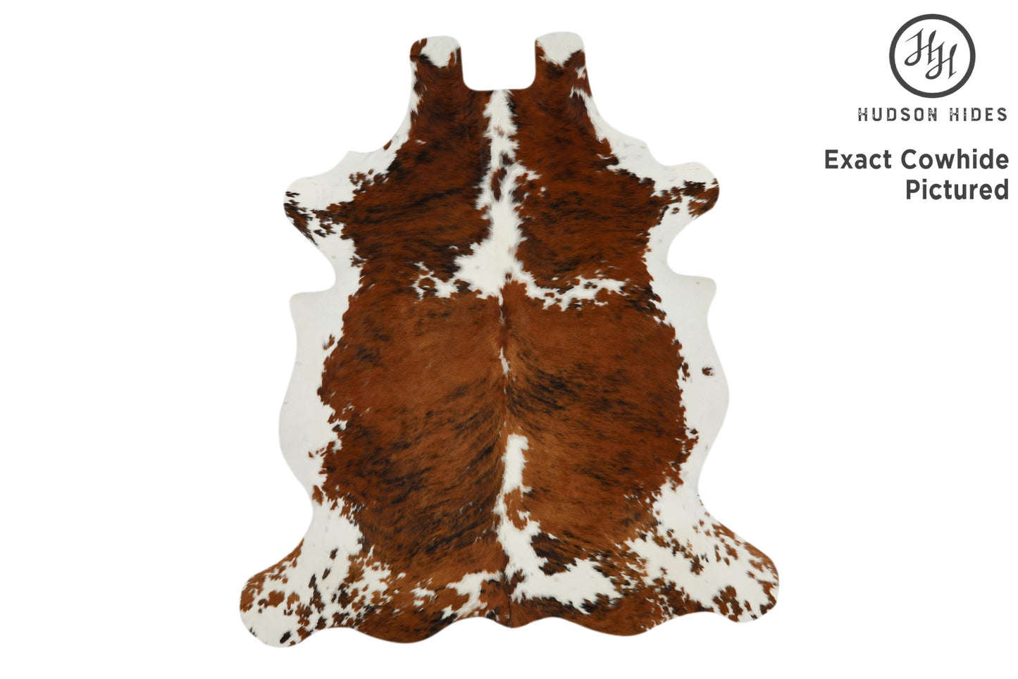 Tricolor Cowhide Rug #11636