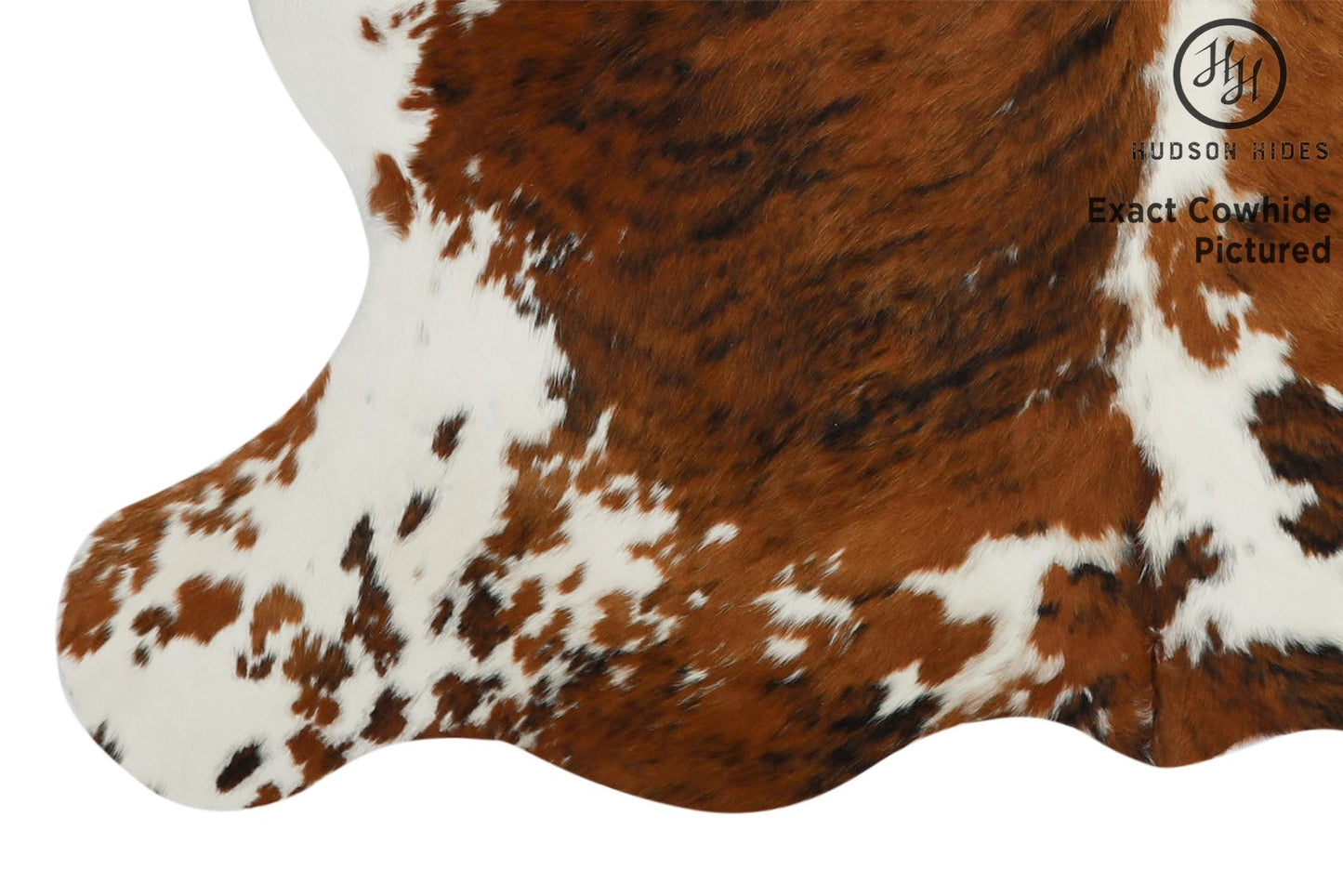 Tricolor Cowhide Rug #11636