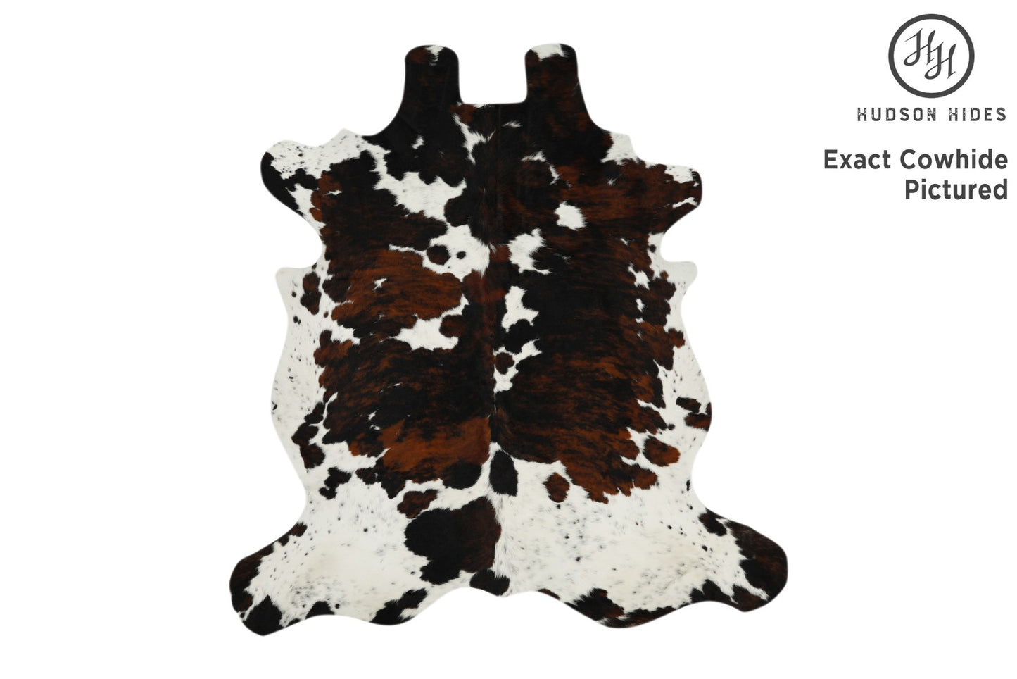 Tricolor Cowhide Rug #11638