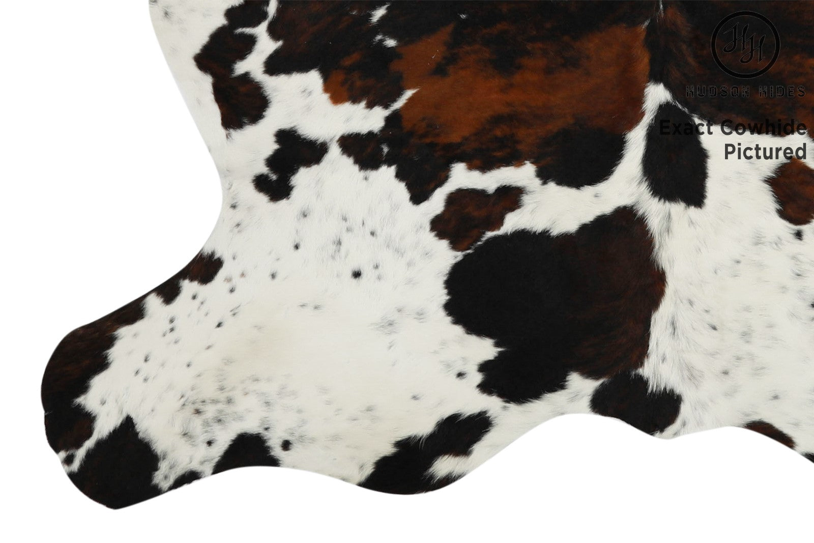 Tricolor Cowhide Rug #11638