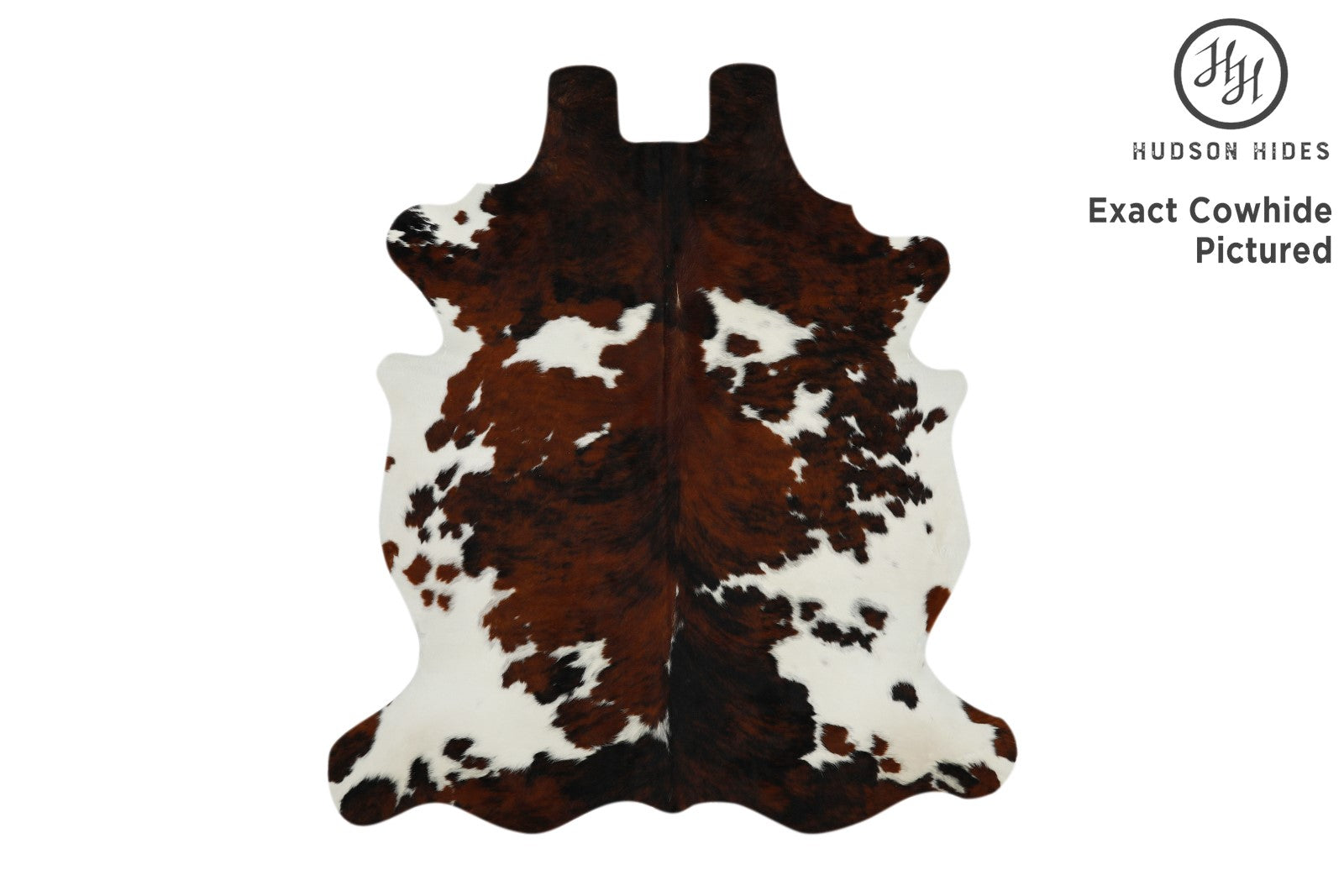 Tricolor Cowhide Rug #11640