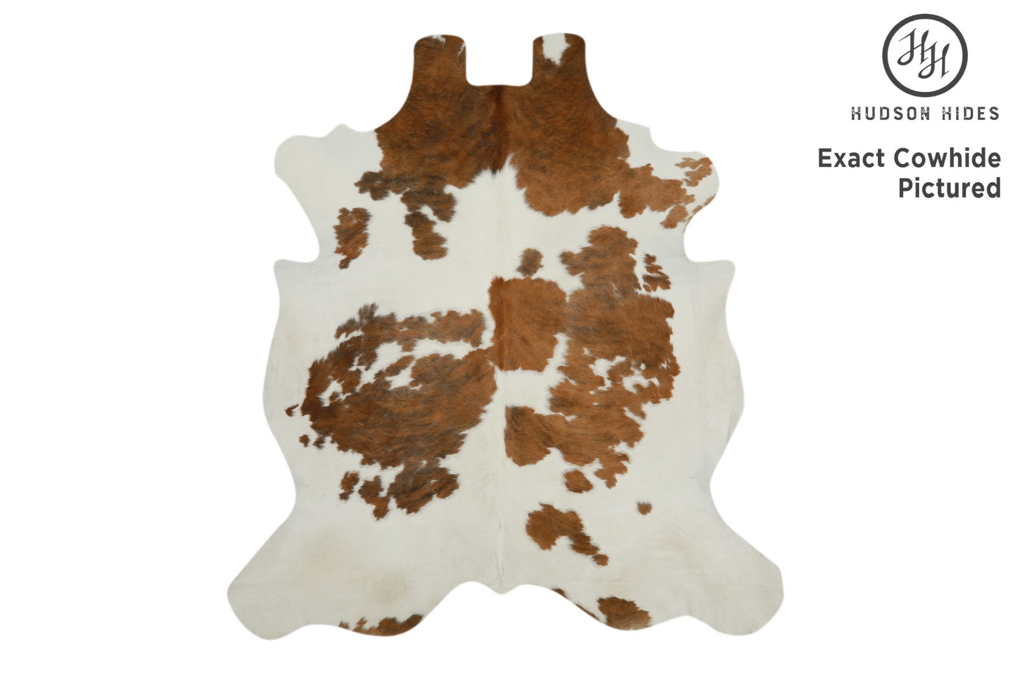 Tricolor Cowhide Rug #11652